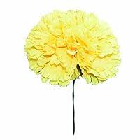 Genérico Flamenca Claveles 547116 Amarillo - La Esencia de Dos Claveles Vino