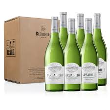 Barbadillo 2016: Un Vino Blanco Excepcional