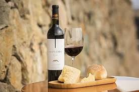 Séptima Malbec: Descubre el Vino Tinto Malbec de Alta Calidad