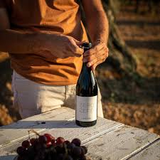 Zero Naturel Tinto: El Vino Sin Alcohol Perfecto para Cada Ocasión