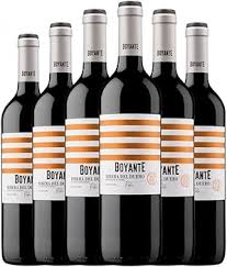 Boyante Ribera Duero Roble - Un Vino que Sorprende