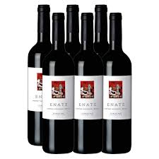 Bodega Enate Cabernet Merlot: Un Vino Excepcional