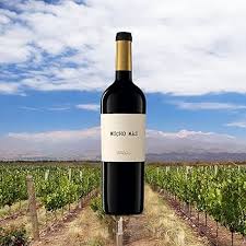 Mucho Más Tinto Blend 750: El Vino Ideal para Cada Ocasión