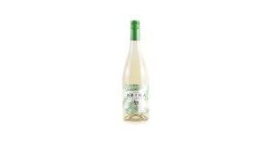 Frizzante Reina Verdejo: El Vino Verdejo Frizzante Ideal para Celebrar
