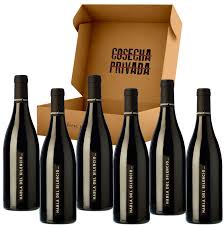 Vino Habla Del Silencio Extremadura Seleccionado - Intensidad y Sabor Único