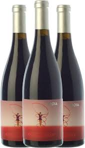 NEstruc Idoia Catalunya Crianza - Vino Tinto de Calidad
