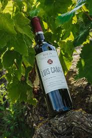 Luis Cañas Tinto Crianza Rioja - Un Vino Excepcional