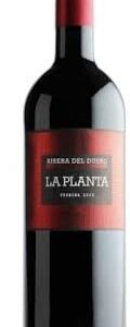 Bodegas Arzuaga Navarro Planta Magnum - Vino Magnum 1