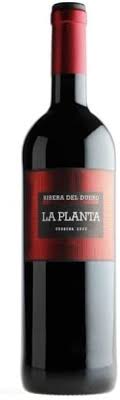 Bodegas Arzuaga Navarro Planta Magnum - Vino Magnum 1