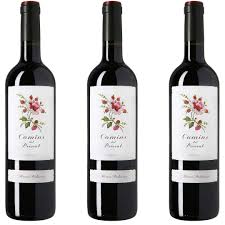 Camins Del Priorat Vino Tinto - Una Joyita del Priorat