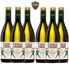 Camino Cabras Godello: Un Vino Godello Excepcional de Valdeorras