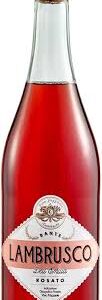 DANTE Vino Rosado Lambrusco - Disfruta de una experiencia única
