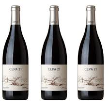 Cepa 21 Vino Tinto - La Esencia del Sabor en Cada Sorbo